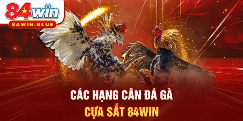 Các hạng cân đá gà cựa sắt 84WIN