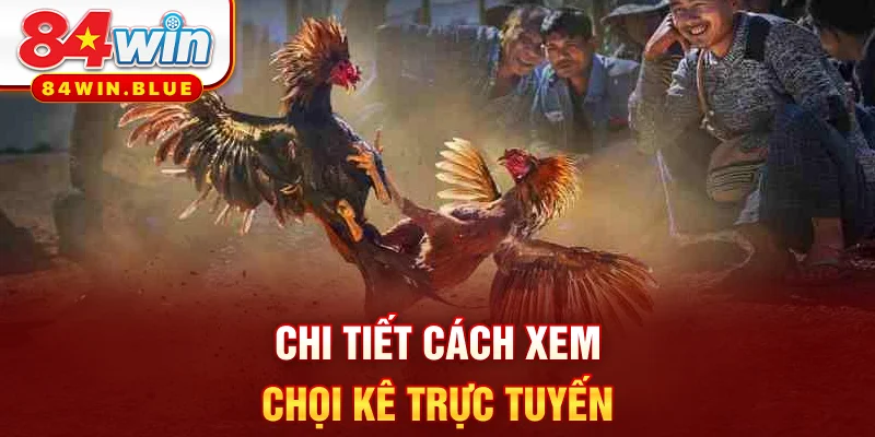 Chi tiết cách xem chọi kê trực tuyến
