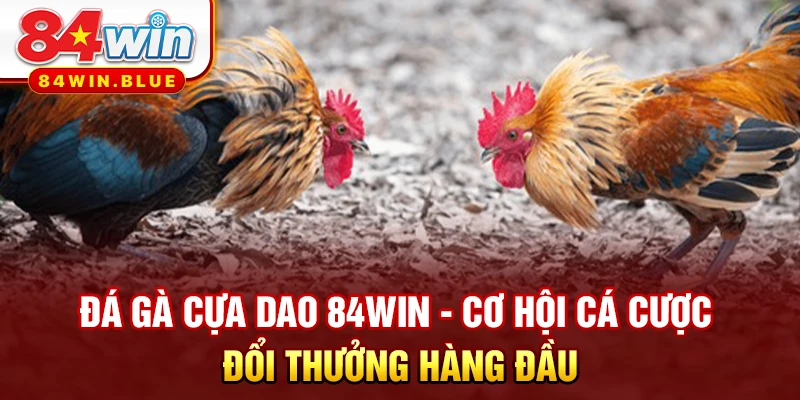 Đá Gà Cựa Dao 84WIN - Cơ Hội Cá Cược Đổi Thưởng Hàng Đầu