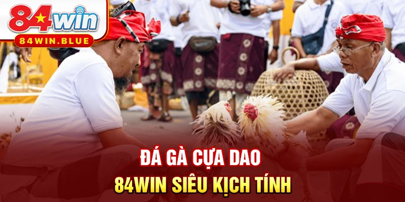 Đá gà cựa dao 84WIN siêu kịch tính