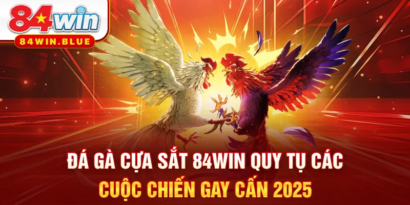 Đá Gà Cựa Sắt 84WIN - Quy Tụ Các Cuộc Chiến Gay Cấn 2025