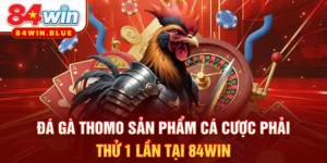 Đá Gà Thomo - Sản Phẩm Cá Cược Phải Thử 1 Lần Tại 84WIN