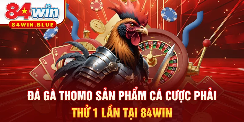 Đá Gà Thomo - Sản Phẩm Cá Cược Phải Thử 1 Lần Tại 84WIN