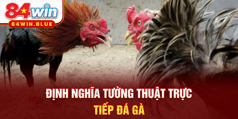 Định nghĩa tường thuật trực tiếp đá gà