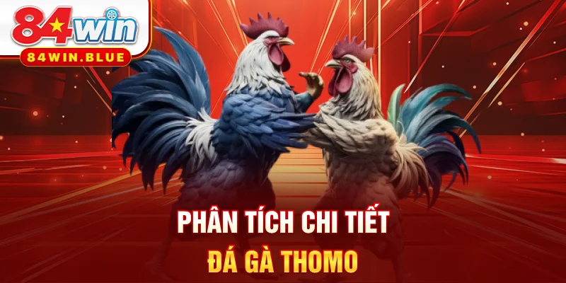 Phân tích chi tiết đá gà Thomo