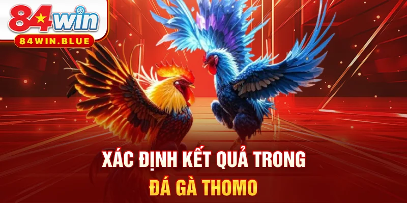 Xác định kết quả trong đá gà Thomo