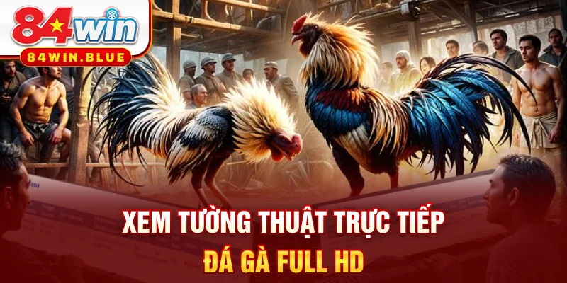 Xem tường thuật trực tiếp đá gà Full HD